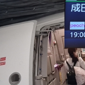 21.03.2024 - Peach - Airbus A320-251N - JA208P - Fukuoka -  Tokyo/NRT - MM526  - 12F - 1:20 Std - 124 €