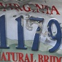 Licence Plate Virginia